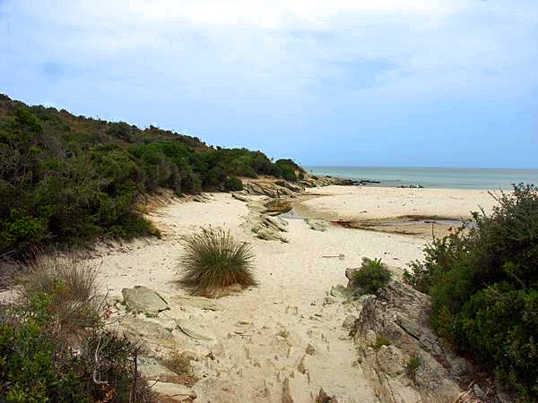 foto k příspěvku  od Leveler