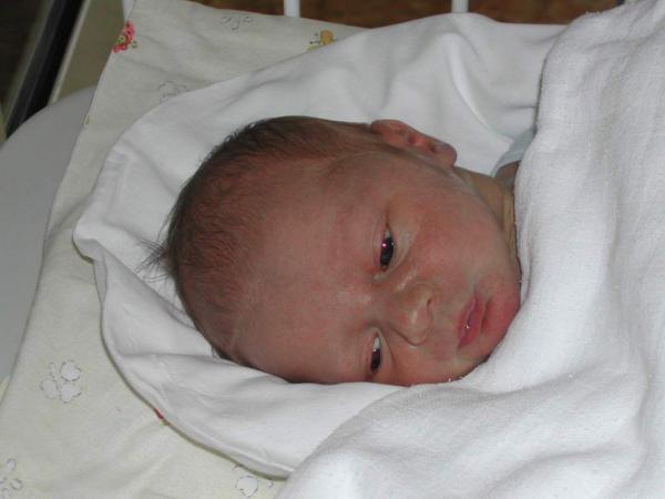 foto k příspěvku  od Siggi_z_BA