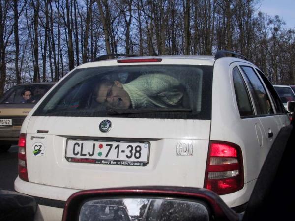 foto k příspěvku  od JR