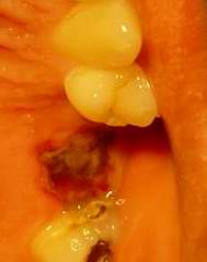 foto k příspěvku  od kral007 (eXtrem-audio.cz)