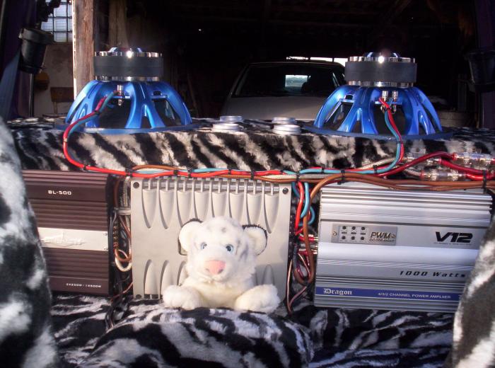 foto k příspěvku  od Fitty