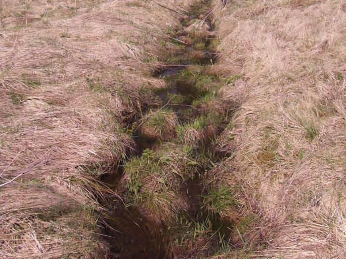 foto k příspěvku  od TheTimo