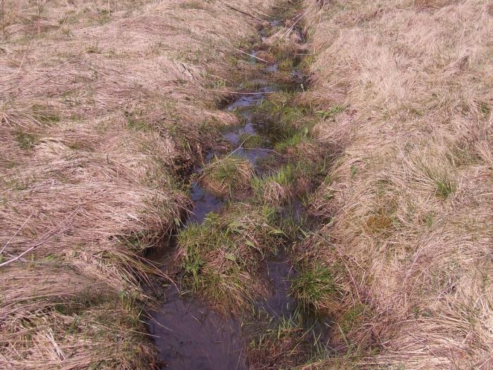 foto k příspěvku  od TheTimo