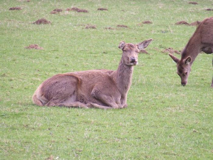 foto k příspěvku  od TheTimo