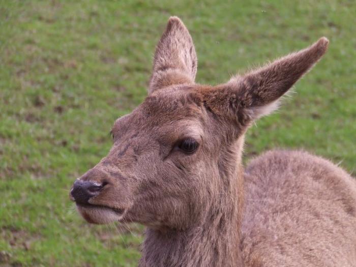 foto k příspěvku  od TheTimo