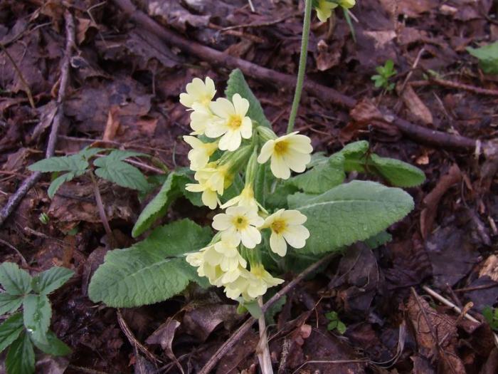 foto k příspěvku  od TheTimo