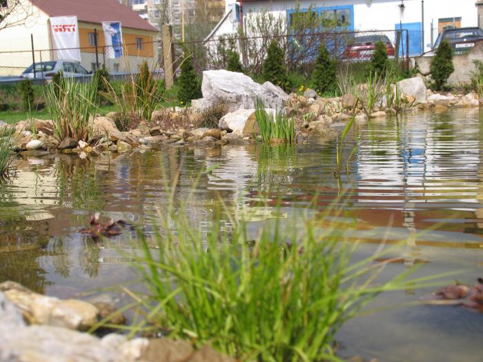 foto k příspěvku  od ACEMajky