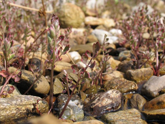 foto k příspěvku  od ACEMajky