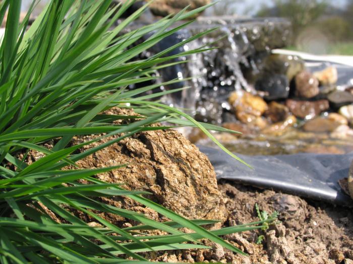 foto k příspěvku  od ACEMajky