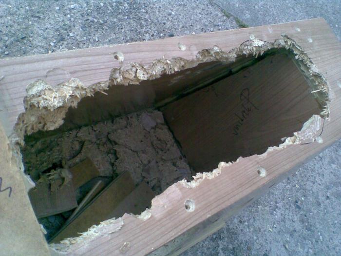 foto k příspěvku  od MiBa