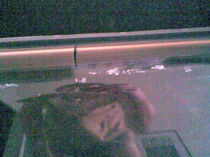 foto k příspěvku  od Nopogo