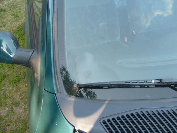 foto k příspěvku  od nickname