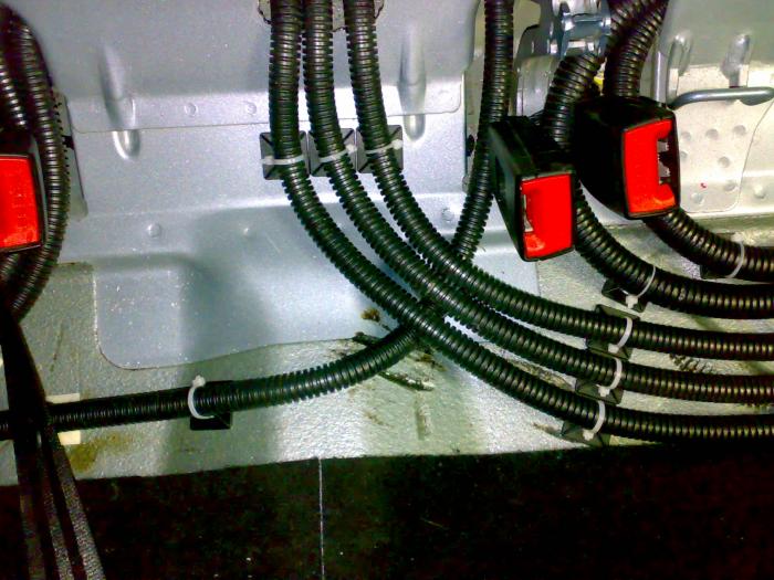 foto k příspěvku  od raksop