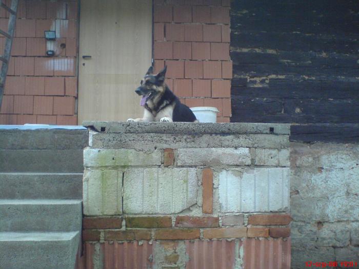 foto k příspěvku  od ACEMajky