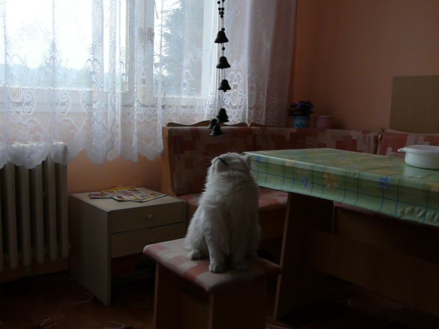 foto k příspěvku  od MikeD