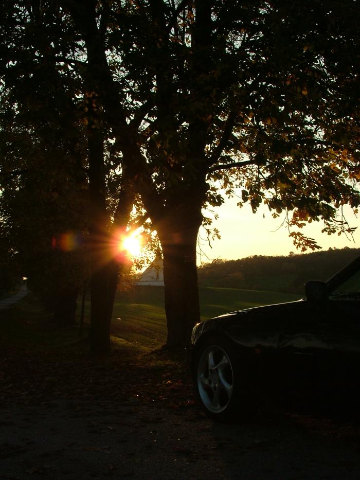 foto k příspěvku  od Luke-Jeep