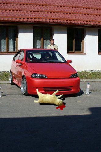 foto k příspěvku  od .mycTD