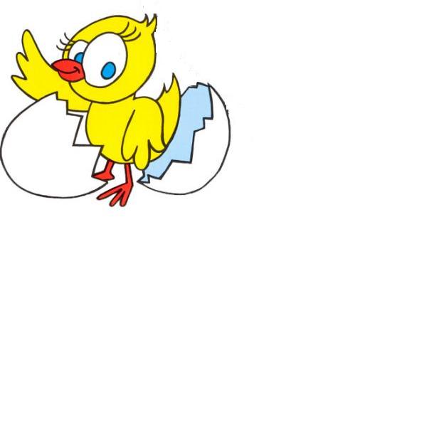 foto k příspěvku  od DaveX