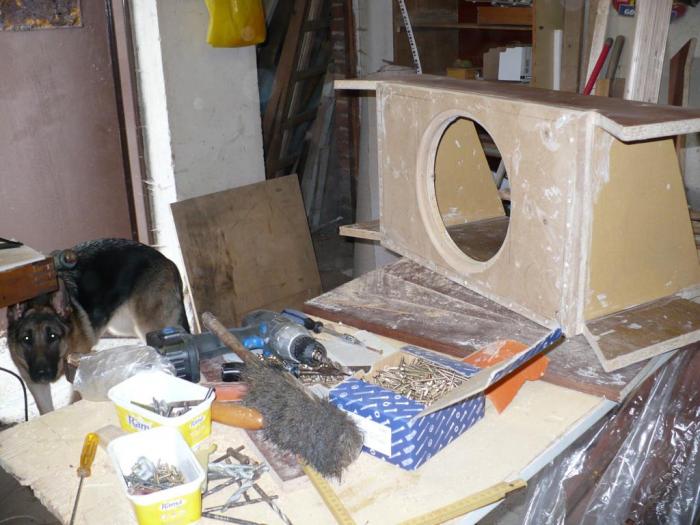 foto k příspěvku  od crazyape