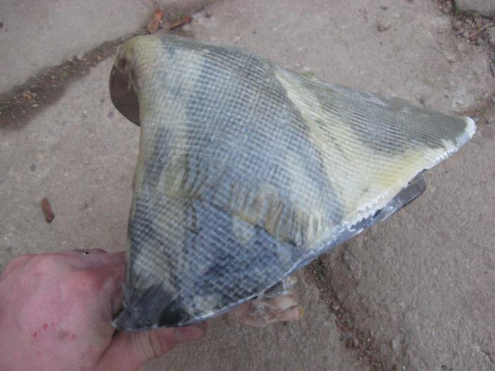 foto k příspěvku  od DemonBob