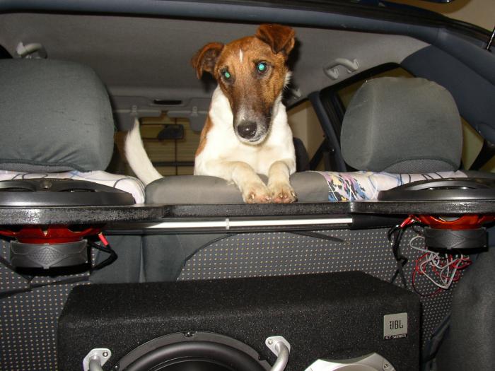 foto k příspěvku  od basstard