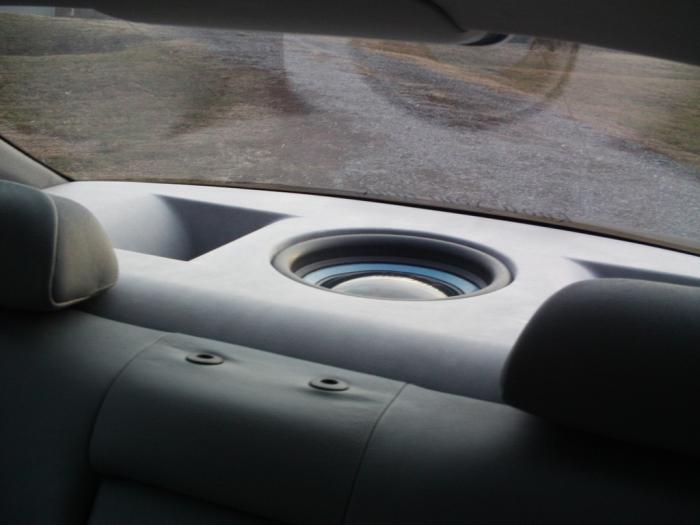 foto k příspěvku  od Rocco.