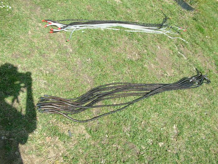 foto k příspěvku  od petis