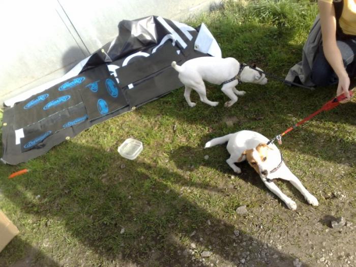 foto k příspěvku  od Biturb