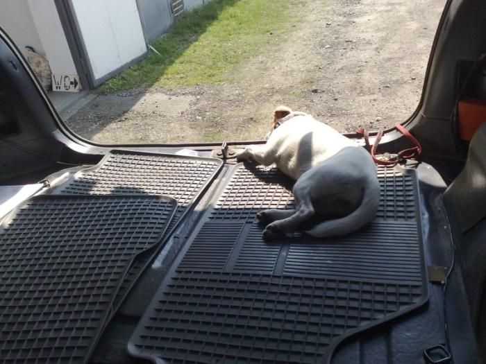 foto k příspěvku  od Biturb