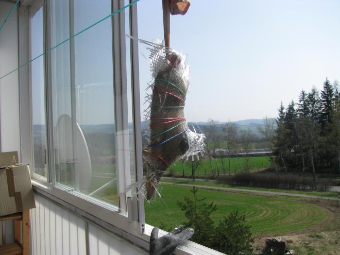 foto k příspěvku  od axetom