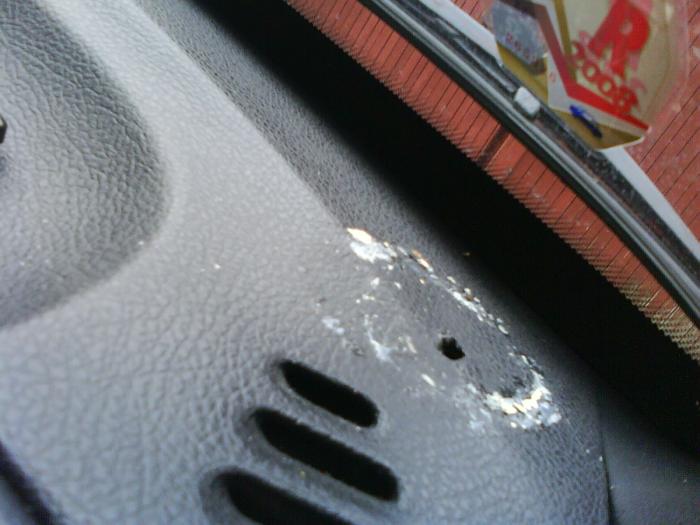 foto k příspěvku  od Fiaro