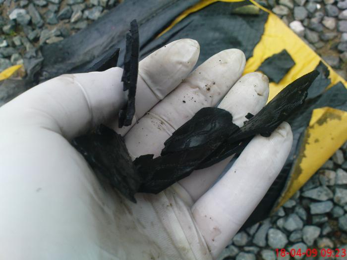 foto k příspěvku  od clown