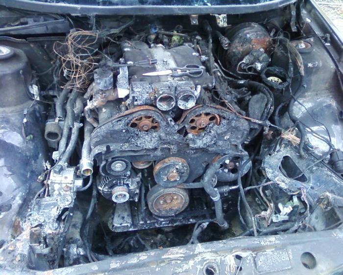 foto k příspěvku  od Freerider