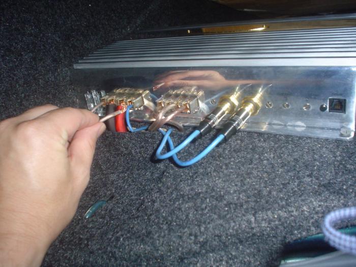 foto k příspěvku  od noclue