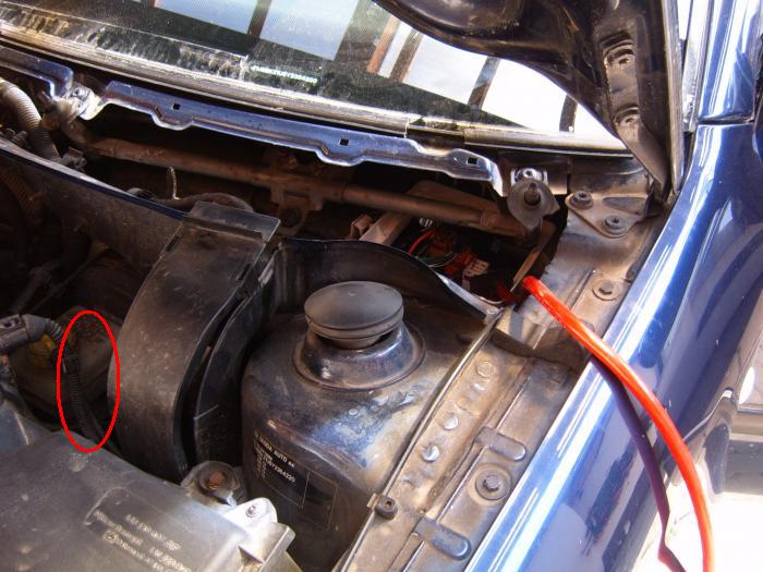 foto k příspěvku  od Bucci