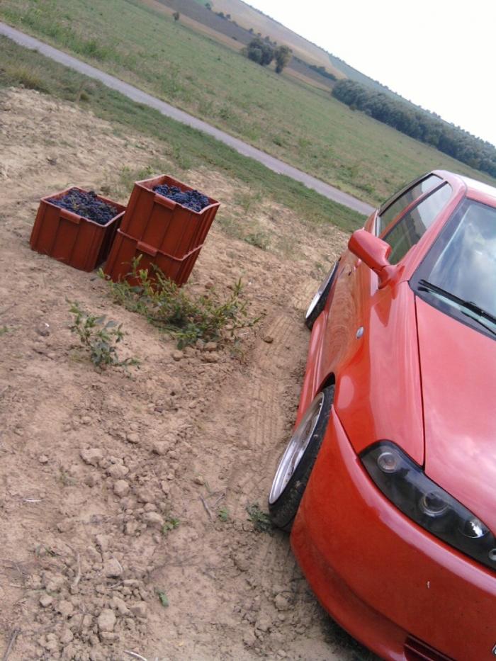 foto k příspěvku  od Katy