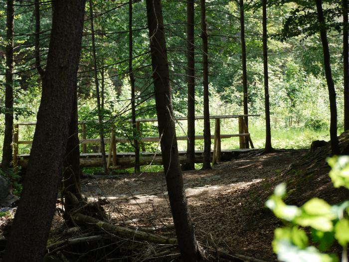 foto k příspěvku  od bafis