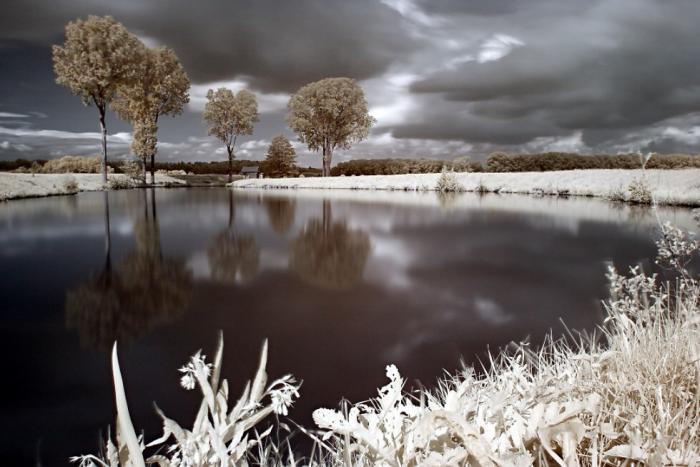 foto k příspěvku  od kondor