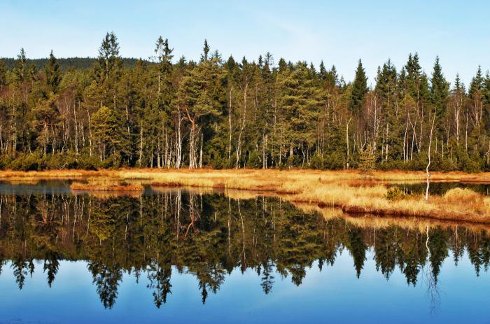 foto k příspěvku  od Bucci