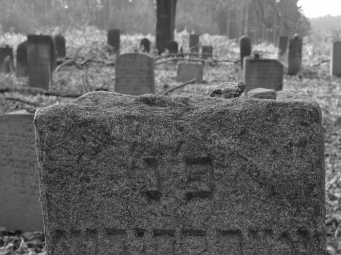 foto k příspěvku  od Maxík