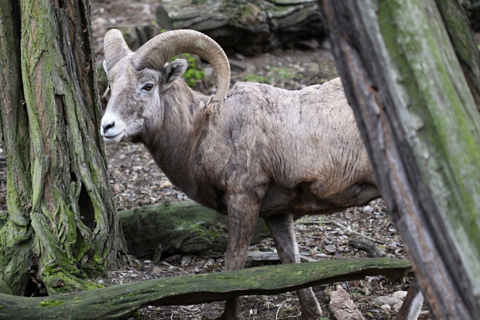 foto k příspěvku  od Lukasino