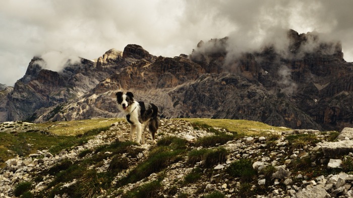 foto k příspěvku  od RedBaron