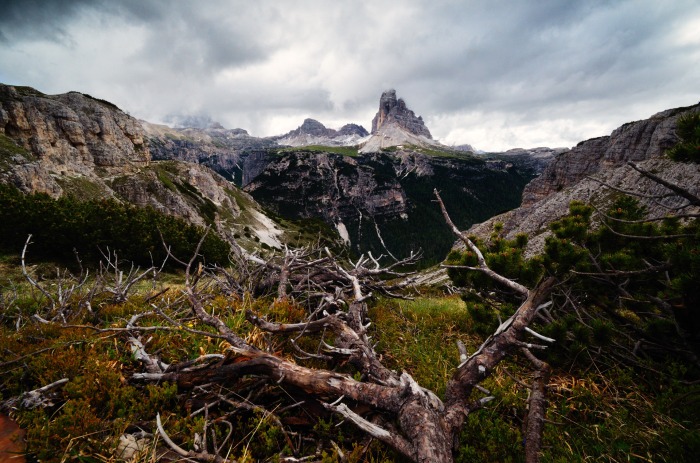 foto k příspěvku  od RedBaron