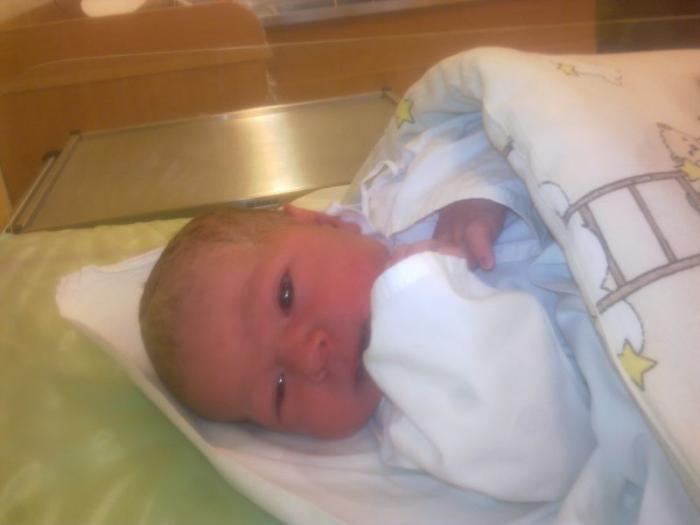 foto k příspěvku  od Antonio