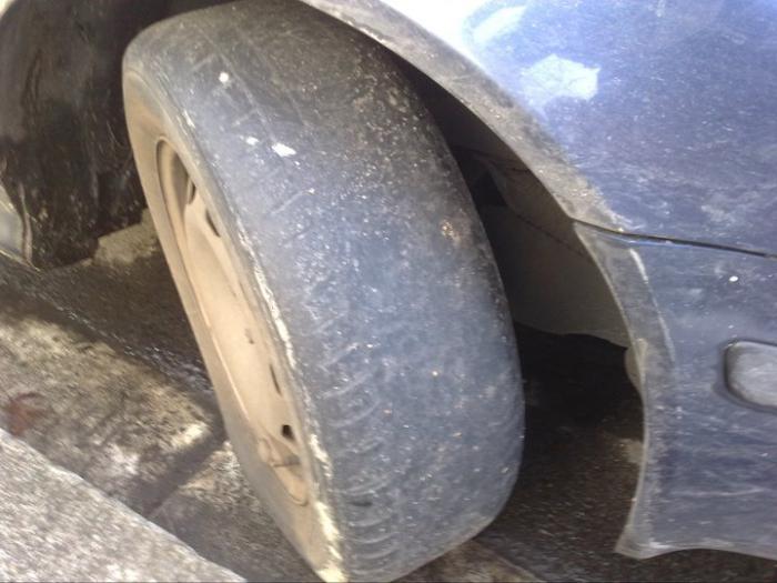 foto k příspěvku  od mr.brain