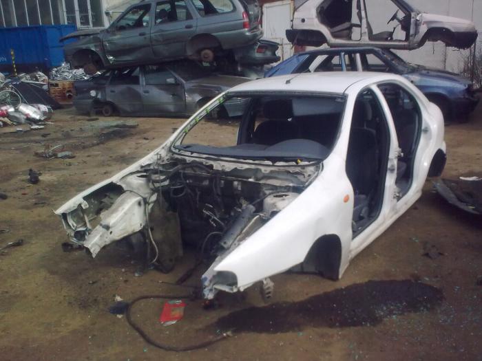 foto k příspěvku  od Piskoteek