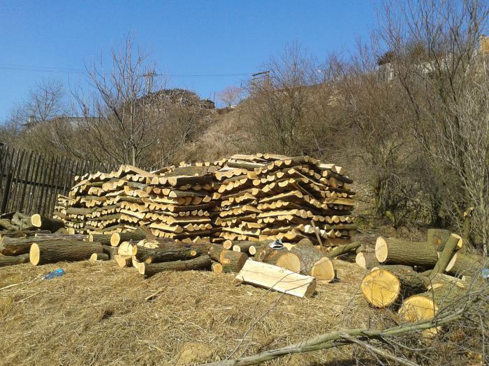 foto k příspěvku  od Jeffry.j