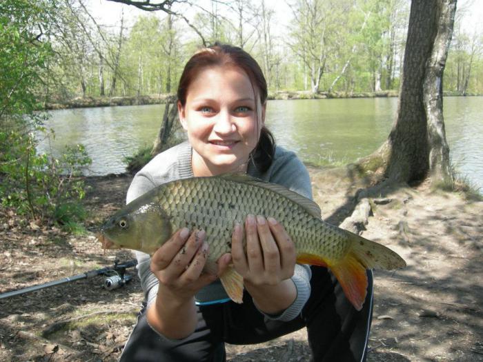 foto k příspěvku  od Kesam