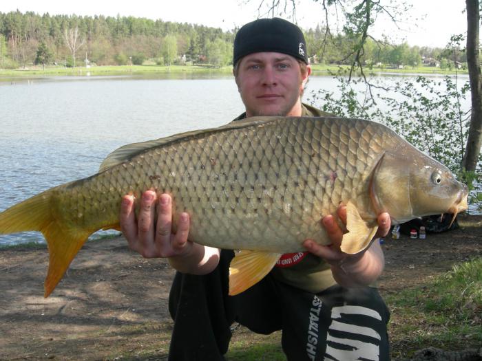 foto k příspěvku  od Kesam