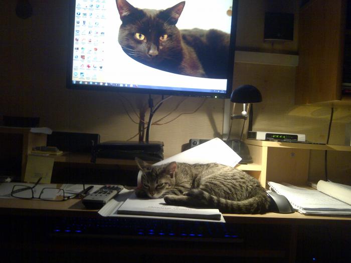 foto k příspěvku  od JA